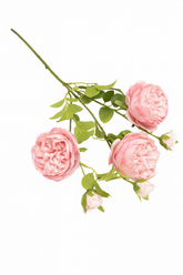 Kunstig Rosengren Pink 65 cm